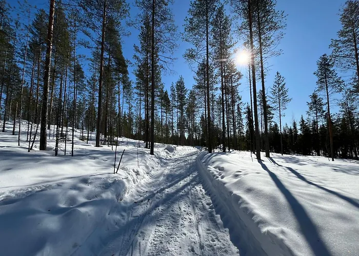 فيلة Log In 10 Min From Santa Claus Village-sauna&freeparking *